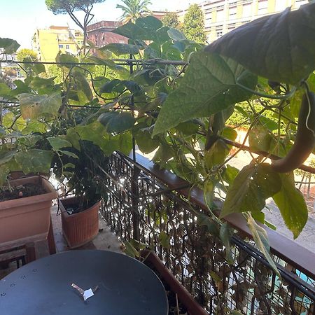 Bed and Breakfast La Fontana Di Carlotta Roma Exterior foto