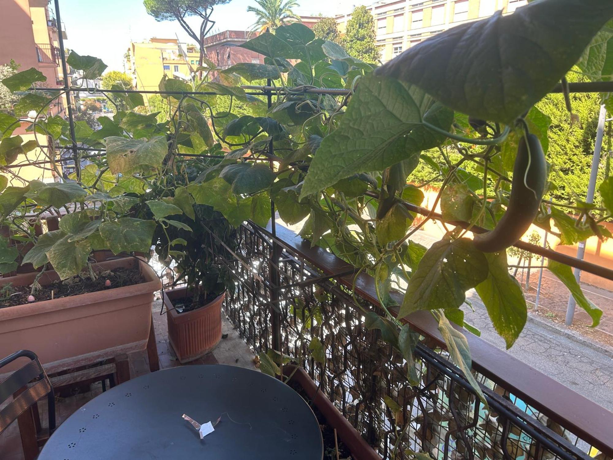Bed and Breakfast La Fontana Di Carlotta Roma Exterior foto