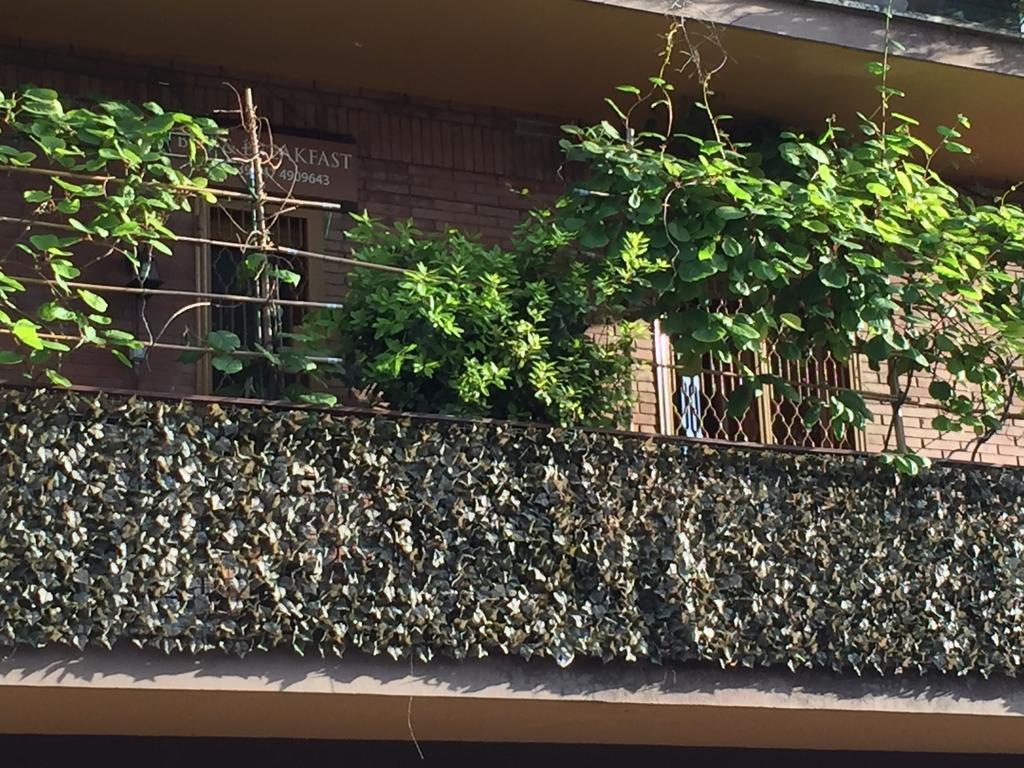 Bed and Breakfast La Fontana Di Carlotta Roma Exterior foto