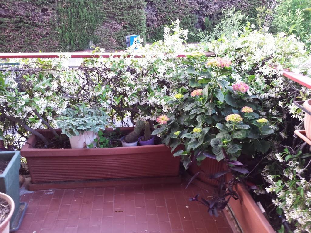Bed and Breakfast La Fontana Di Carlotta Roma Exterior foto